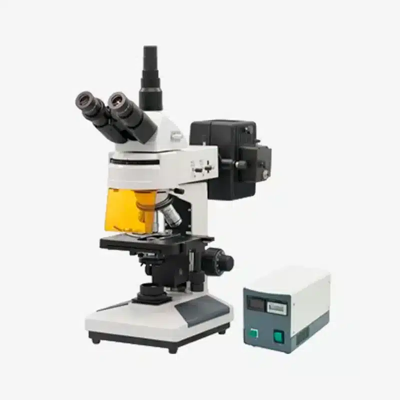 Microscopio de fluorescencia trinocular Biobase modelo BFM-43